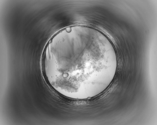 X0000093481291200711020926