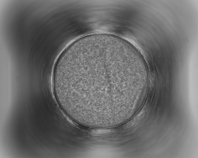 X0000093481294200711020926