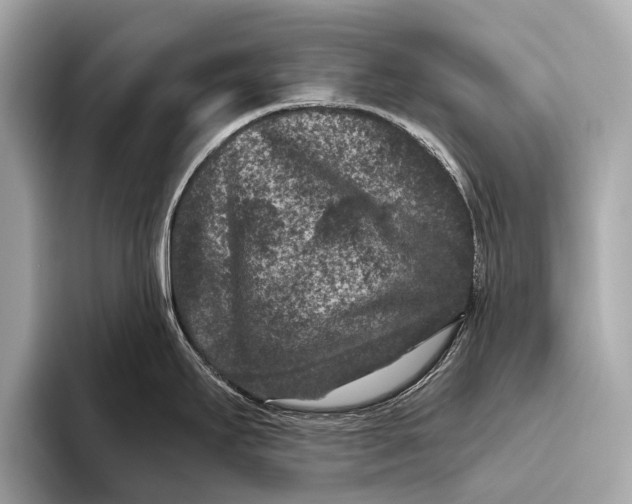 X0000093481295200711020926