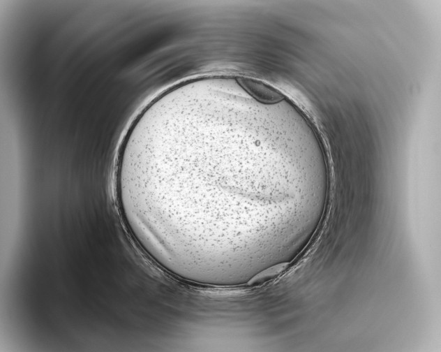 X0000093481296200711020926