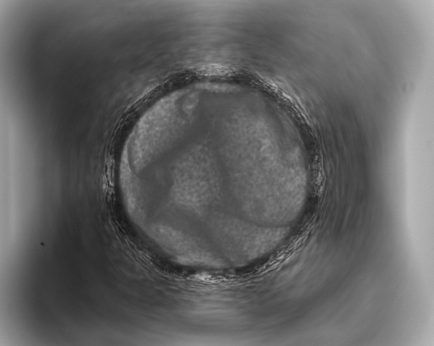 X0000093481301200711020926