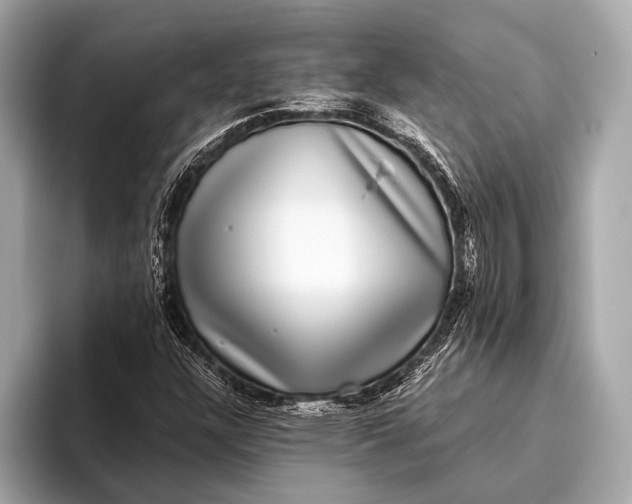 X0000093481304200711020926