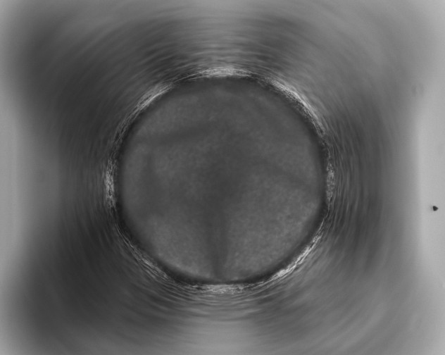 X0000093481305200711020926