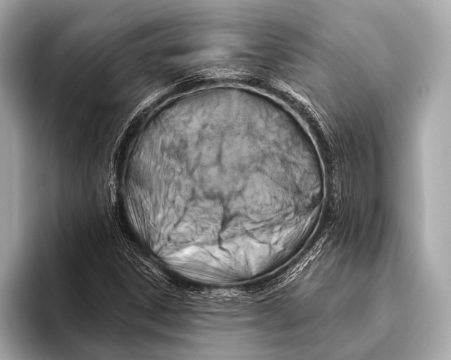 X0000093481306200711020926
