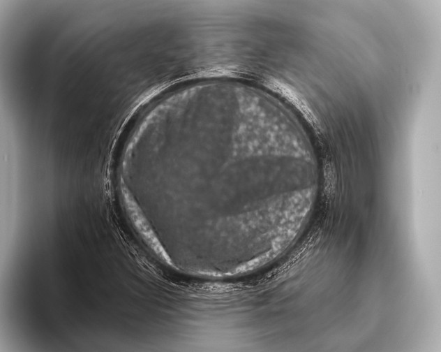 X0000093481308200711020926