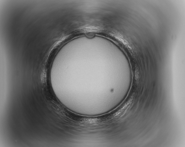 X0000093481309200711020926