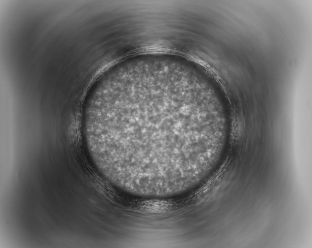 X0000093481314200711020926