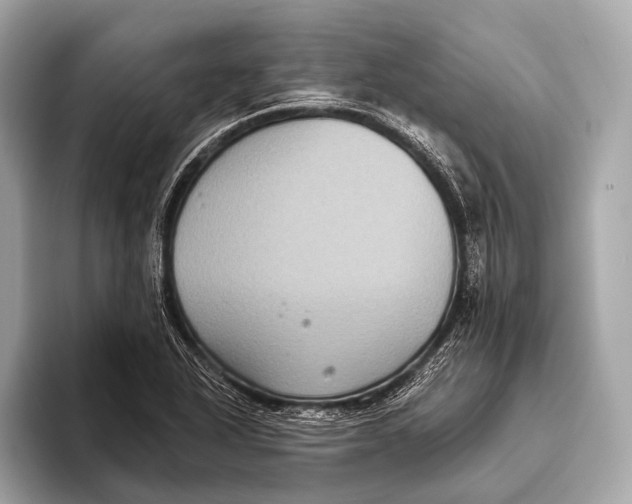 X0000093481318200711020926
