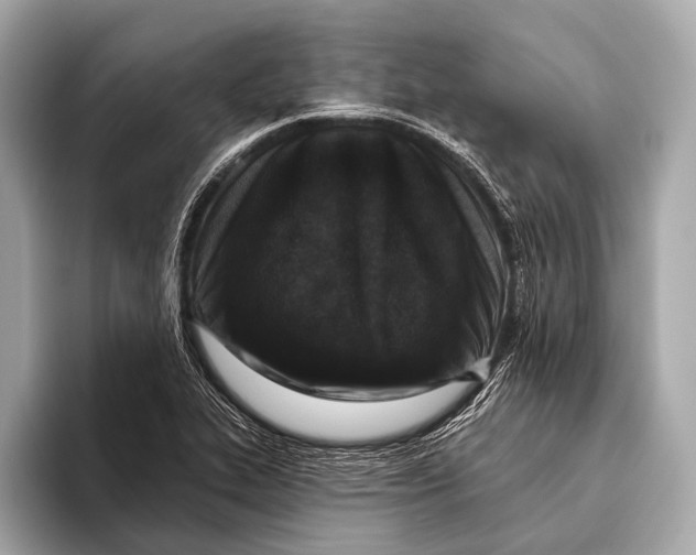 X0000093481319200711020926