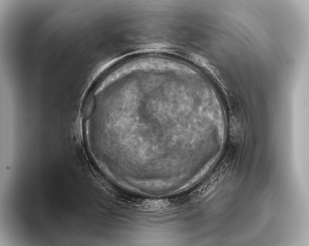 X0000093481320200711020926