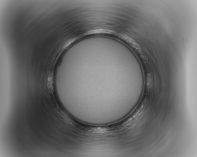 X0000093481321200711020926