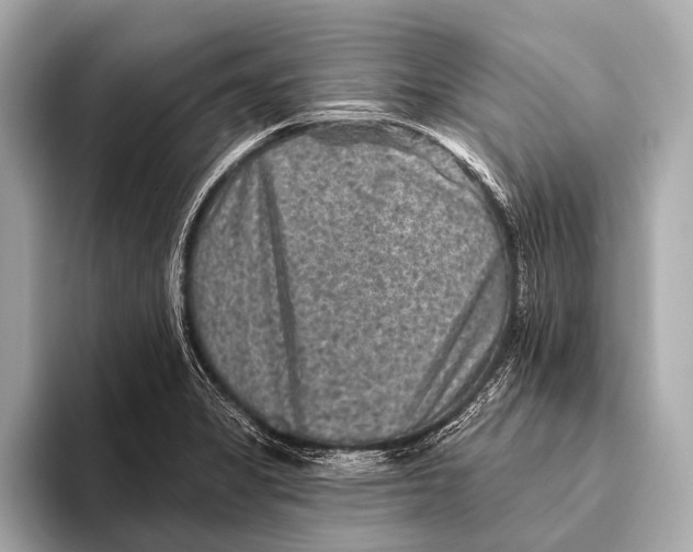 X0000093481325200711020926