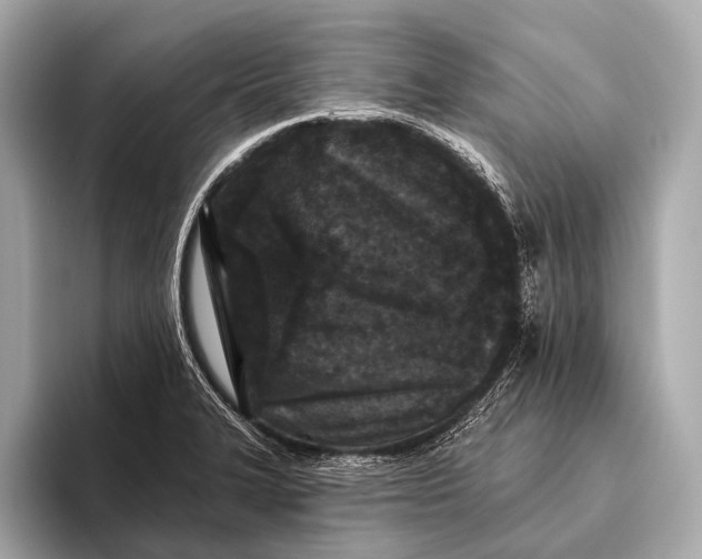 X0000093481327200711020926