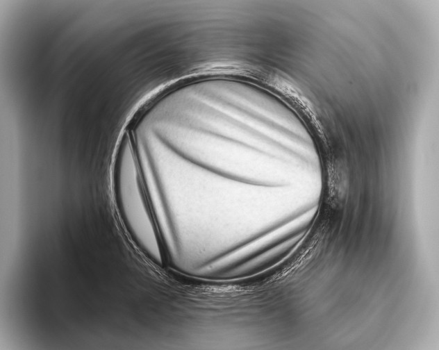 X0000093481328200711020926