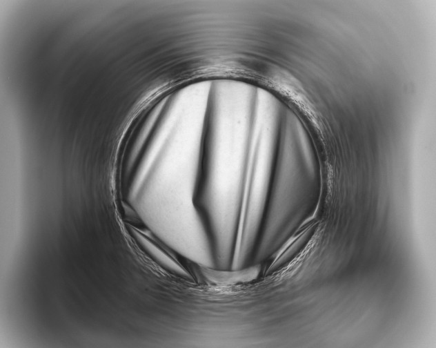 X0000093481330200711020926