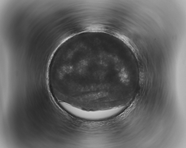 X0000093481331200711020926