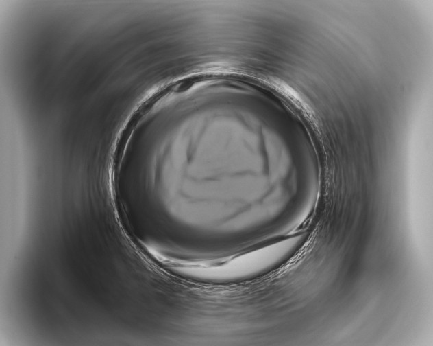 X0000093481334200711020926