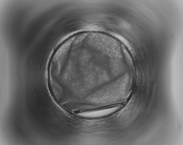 X0000093481335200711020926