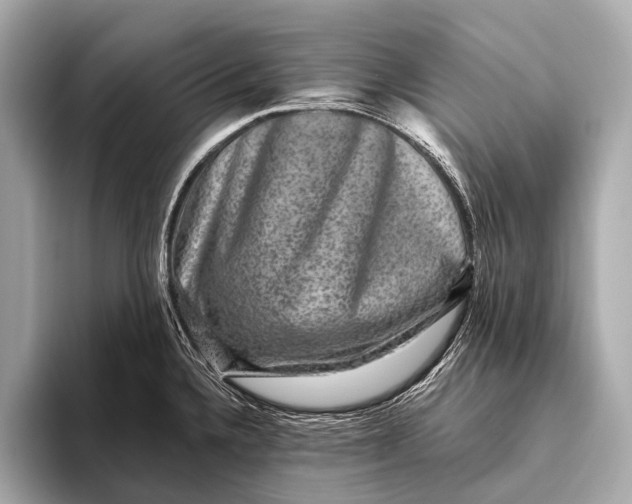 X0000093481336200711020926