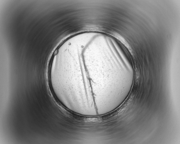 X0000093481339200711020926