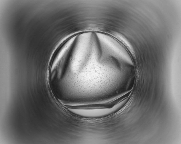 X0000093481340200711020926
