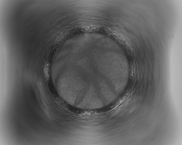 X0000093481346200711020926