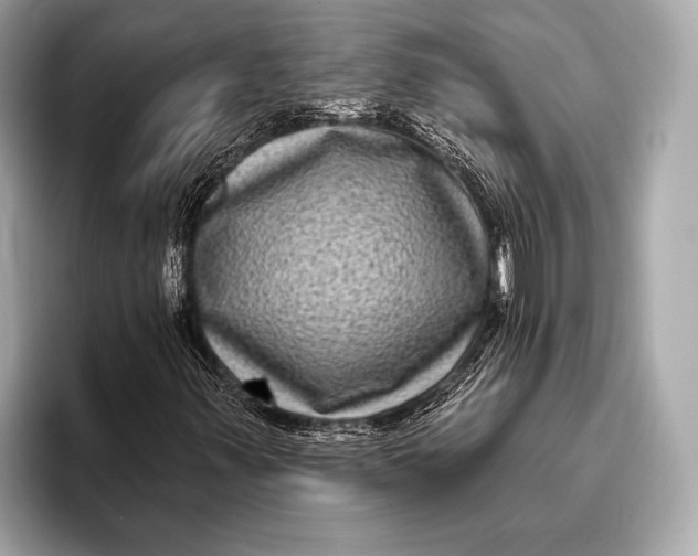 X0000093481347200711020926