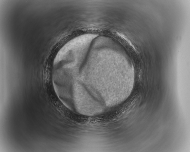 X0000093481350200711020926