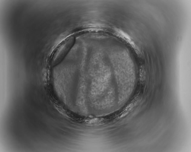 X0000093481352200711020926