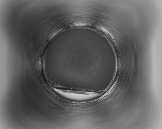 X0000093481353200711020926