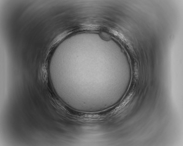 X0000093481354200711020926