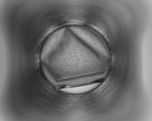 X0000093481355200711020926