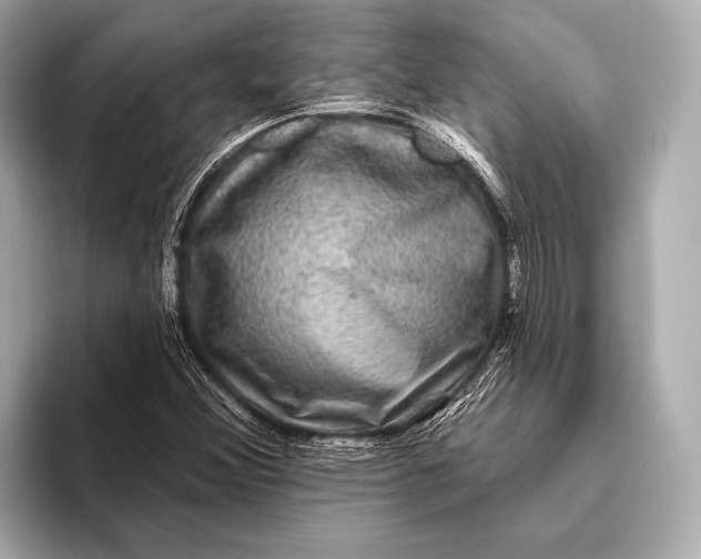 X0000093481356200711020926