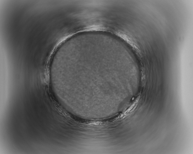 X0000093481358200711020926