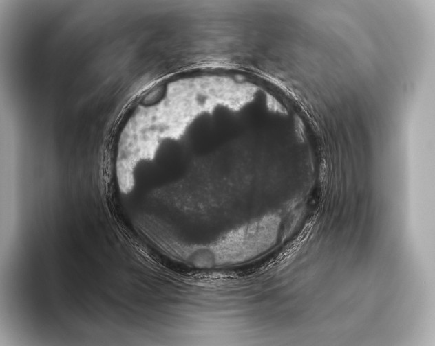 X0000093481359200711020926