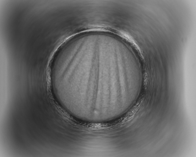 X0000093481360200711020926