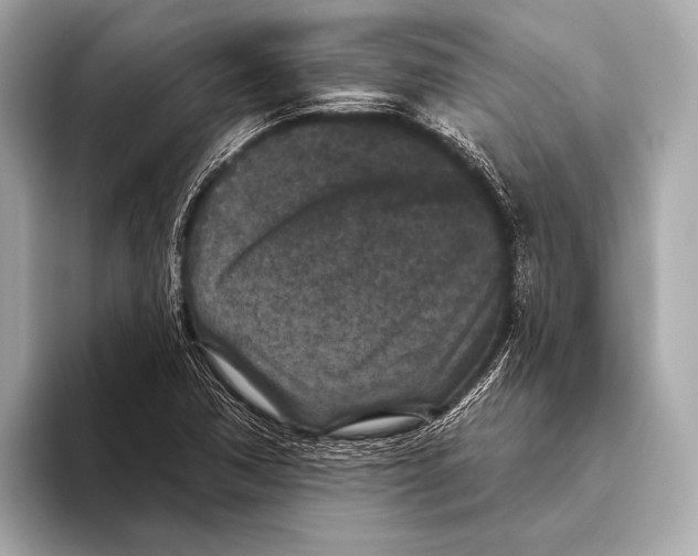 X0000093481362200711020926