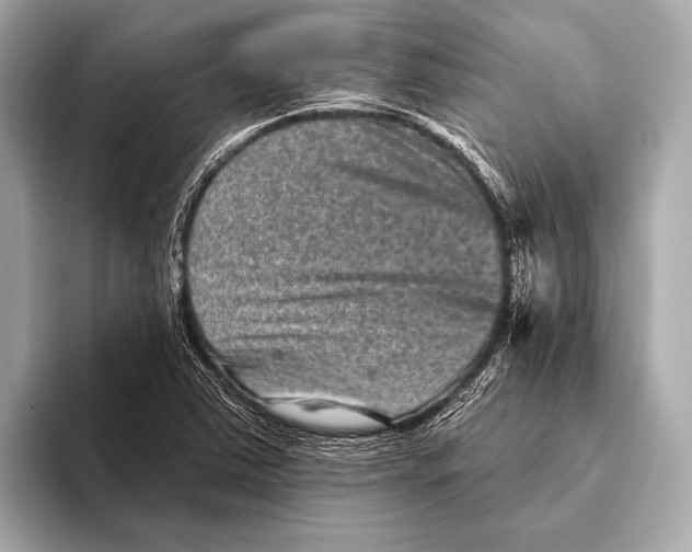 X0000093481363200711020926