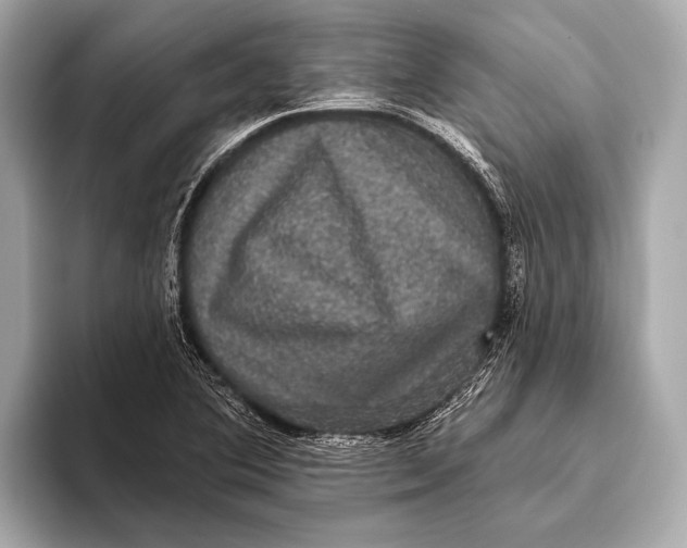 X0000093481364200711020926