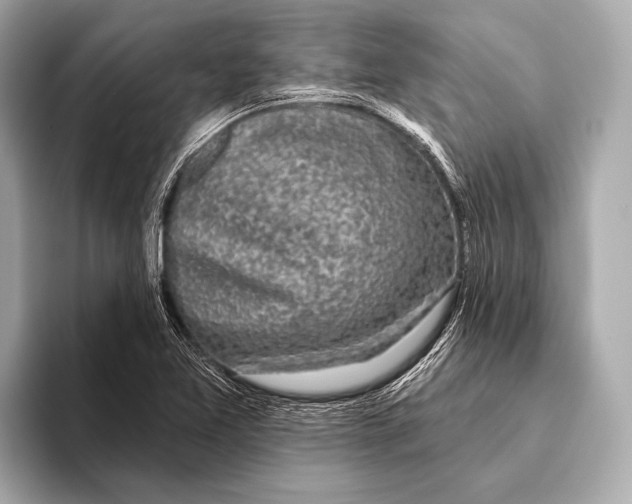 X0000093481365200711020926