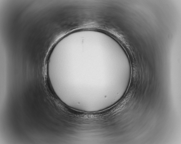 X0000093481366200711020925
