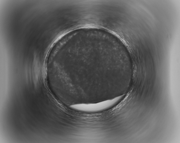 X0000093481367200711020925