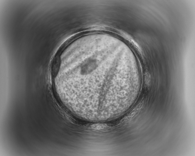 X0000093481368200711020925