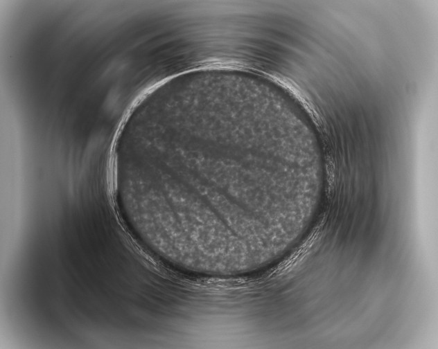 X0000093481371200711020925