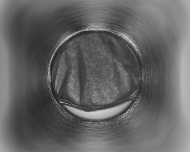 X0000093481372200711020925