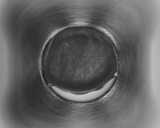X0000093481373200711020925