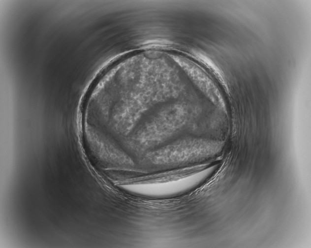 X0000093481376200711020925
