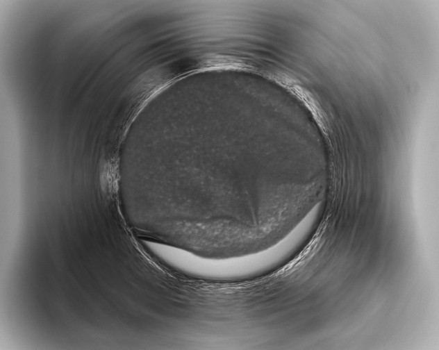 X0000093481377200711020925