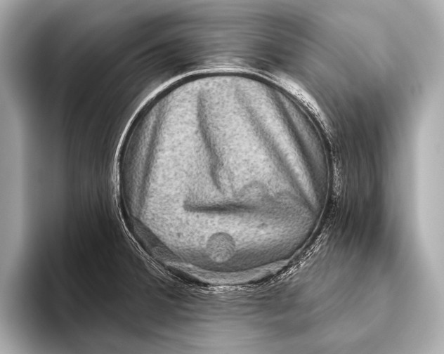 X0000093481380200711020925