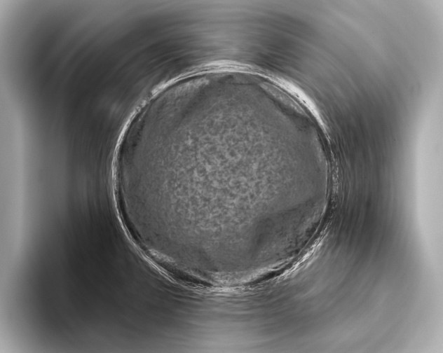 X0000093481381200711020925